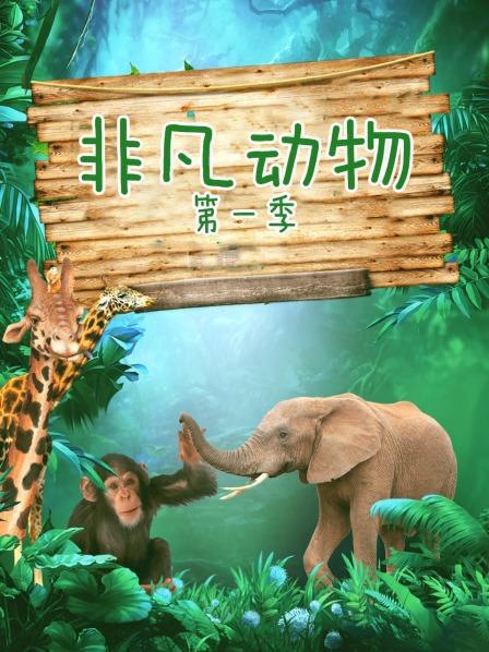 非凡动物 第一季 extraordinary animals Season 1 (2008)