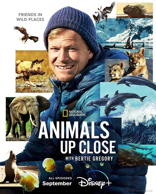 贝尔蒂·格雷戈里：与动物零距离 Animals Up Close with Bertie Gregory (2023)