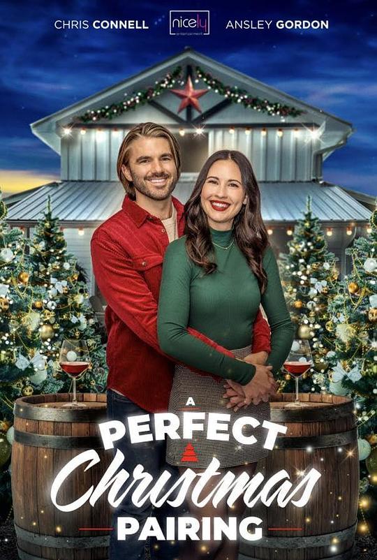 完美的圣诞搭配 A Perfect Christmas Pairing (2023)