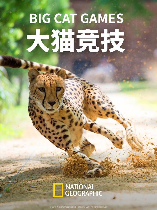 大猫竞技 Big Cat Games (2016)