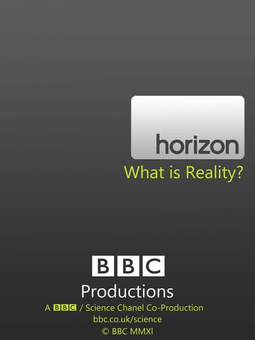 地平线系列：何为现实 Horizon: What Is Reality? (2011)