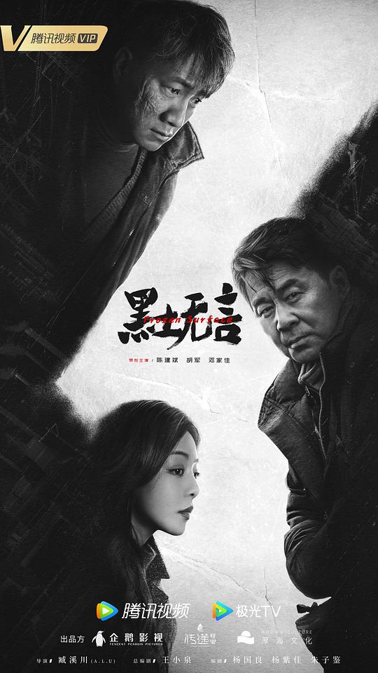 黑土无言  (2024)