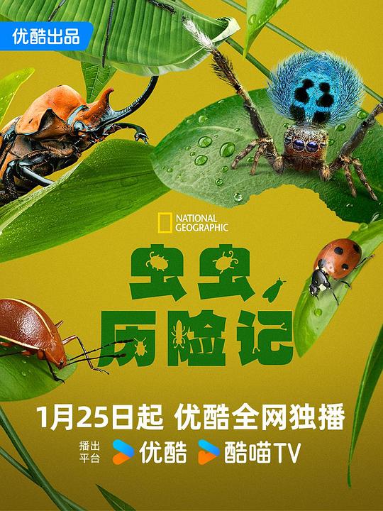 虫虫历险记 A Real Bug's Life (2024)