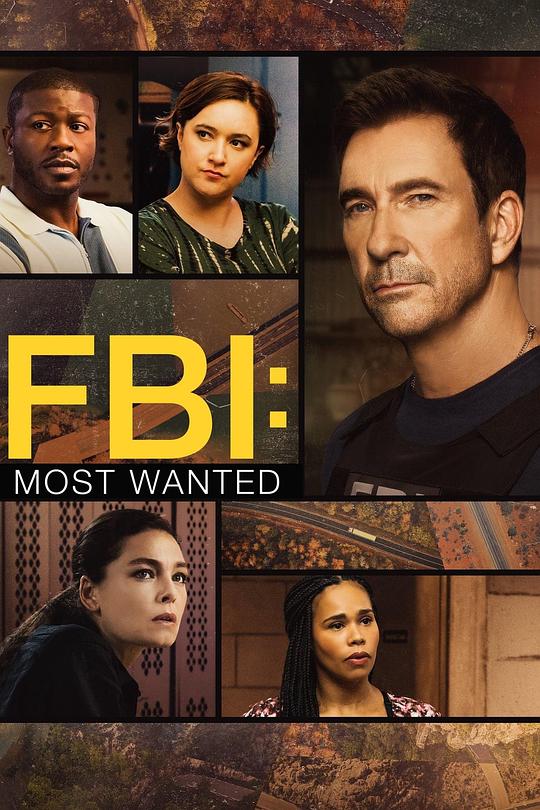 联邦调查局：通缉要犯 第五季 FBI: Most Wanted Season 5 (2024)