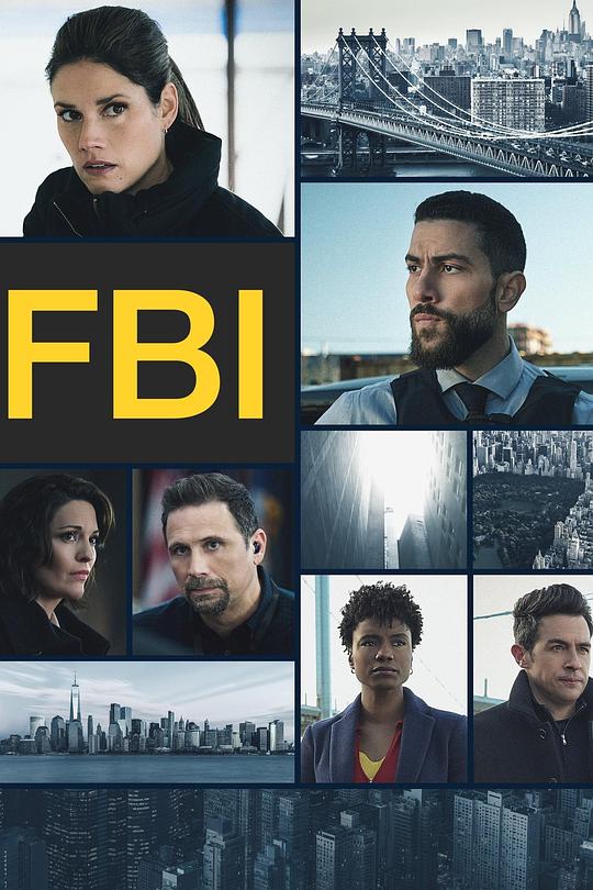 联邦调查局 第六季 FBI Season 6 (2024)