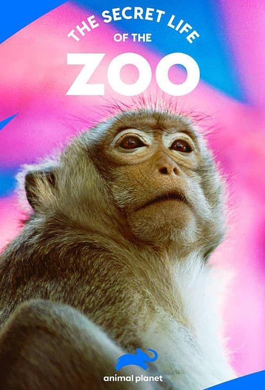 动物园的秘密生活 第三季 The Secret Life of the Zoo Season 3 (2017)