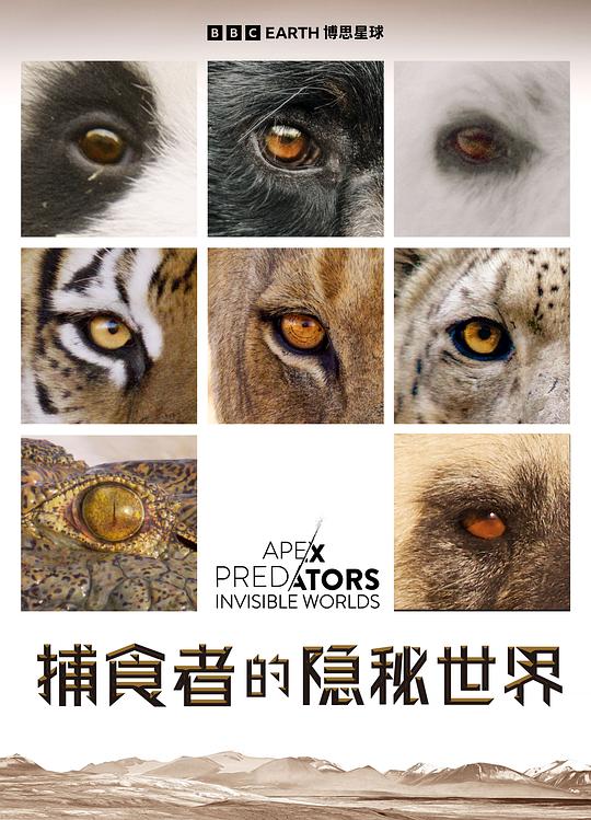 捕食者的隐秘世界 Apex Predators: Invisible Worlds (2024)