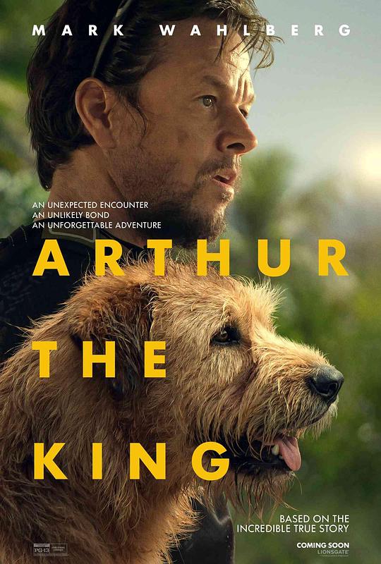 冠军亚瑟 Arthur the King (2024)