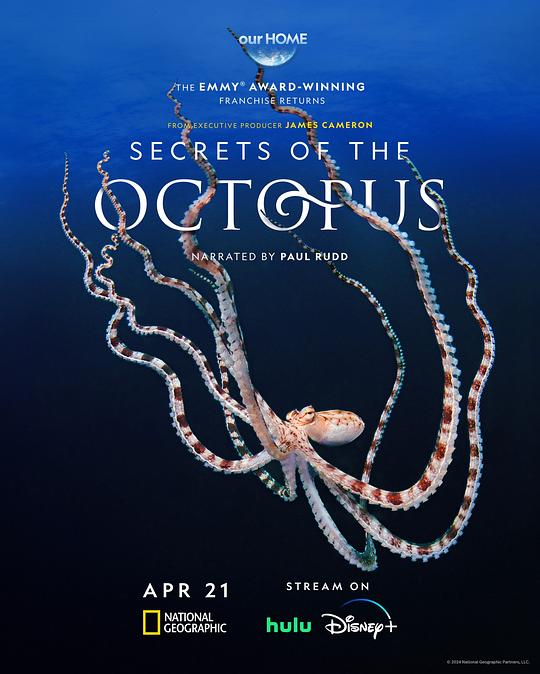 章鱼的秘密 Secrets of the Octopus (2024)