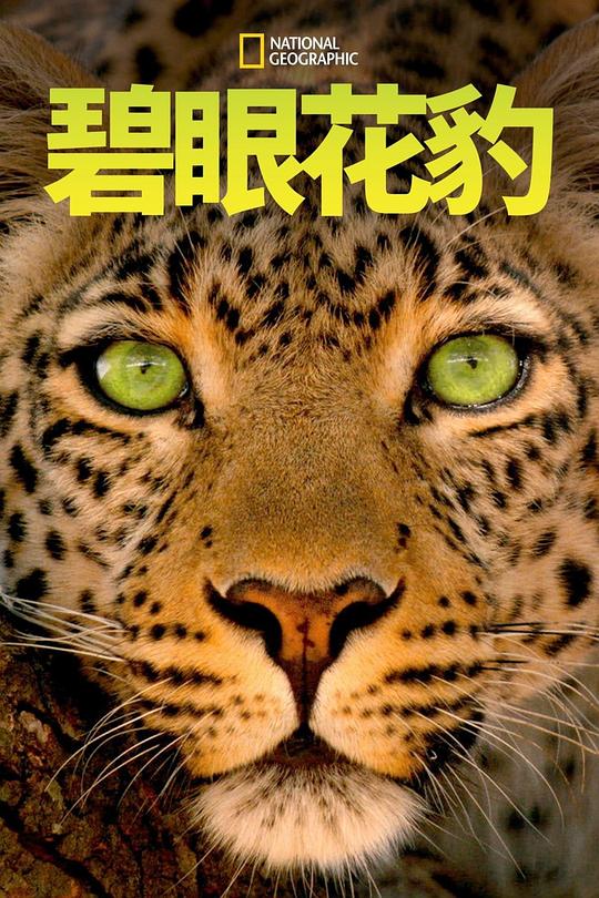 碧眼花豹 Jade Eyed Leopard (2020)