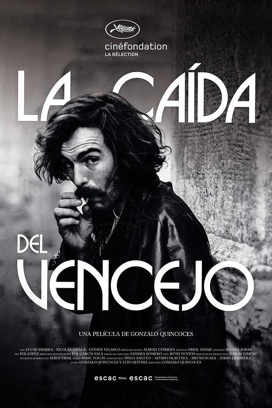 雨燕的坠落 La caída del vencejo (2021)