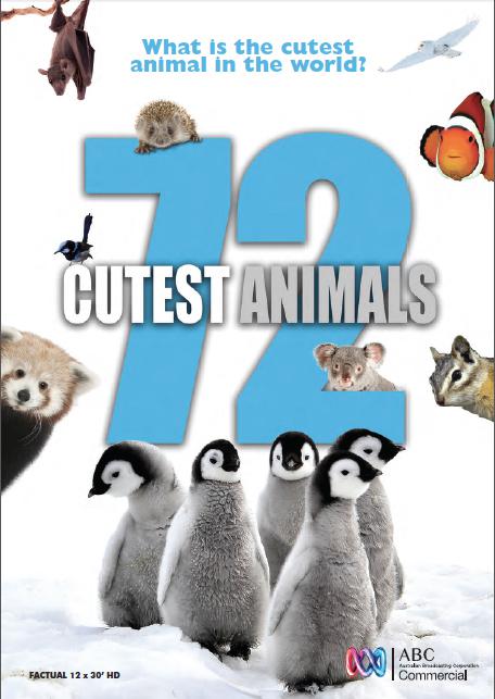 72大可爱动物 72 Cutest Animals (2016)