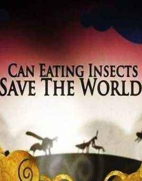 吃昆虫能拯救世界吗？ Can Eating Insects Save the World? (2013)