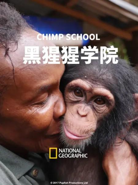 黑猩猩学院 Chimp School (2016)