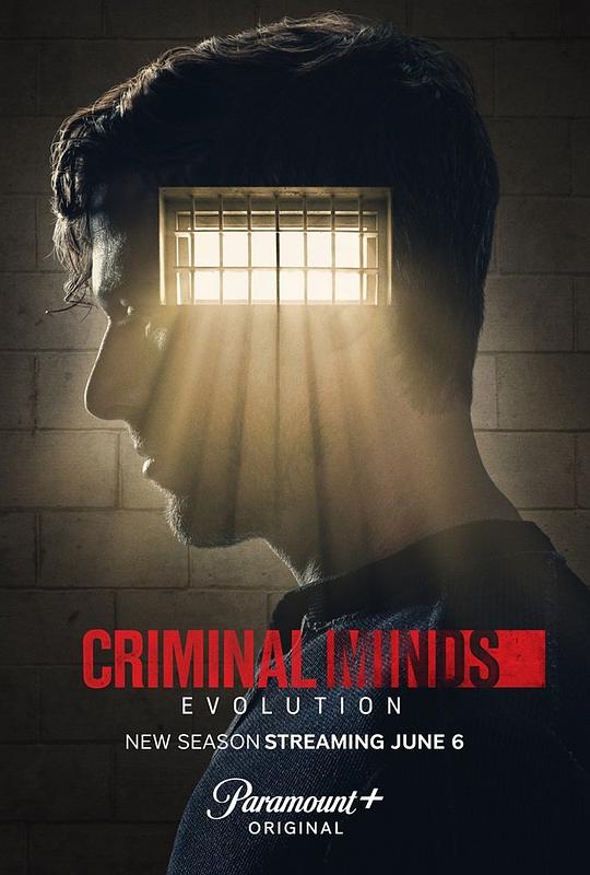 犯罪心理：演变 第十七季 Criminal Minds: Evolution Season 17 (2024)