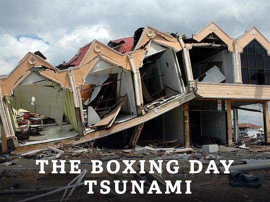 印度洋大海啸 第一季 Boxing Day Tsunami Season 1 (2021)