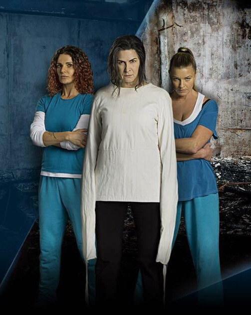 温特沃斯 第四季 Wentworth Season 4 (2016)