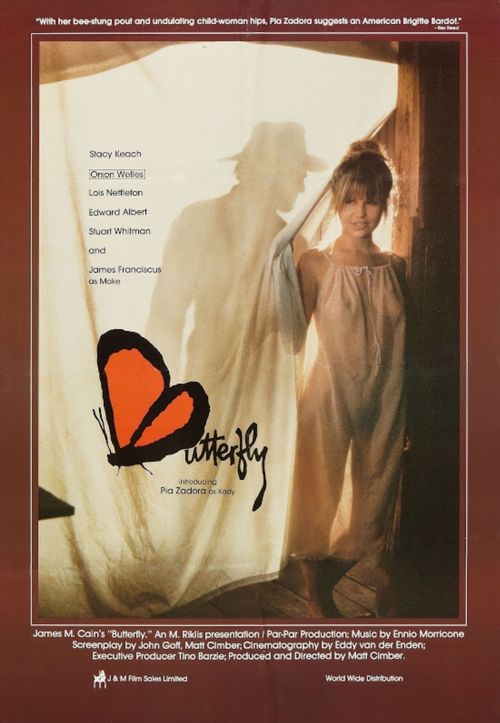 蝴蝶 Butterfly (1981)