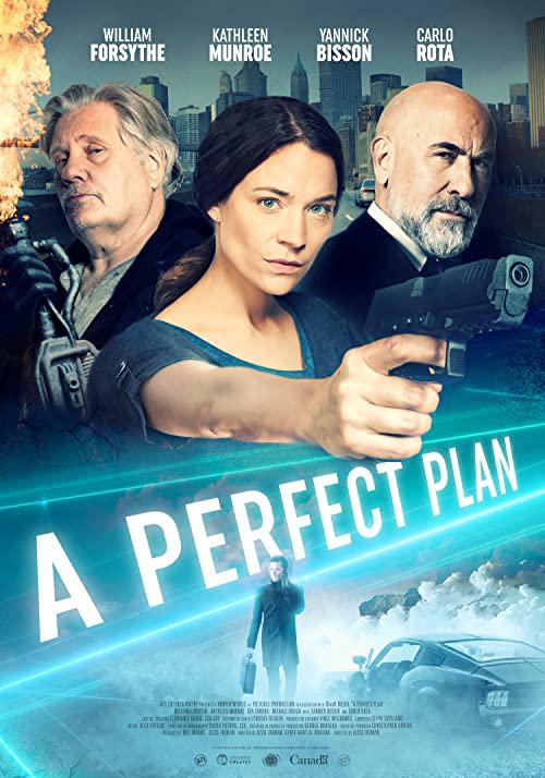 完美计划 A Perfect Plan (2020)