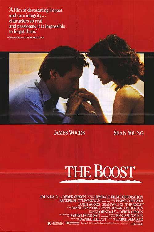 推波助澜 The Boost (1988)