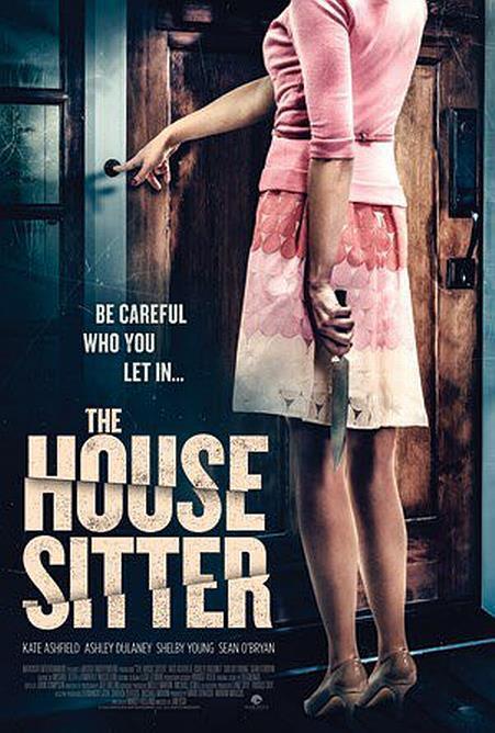 保姆 The house sitter (2015)