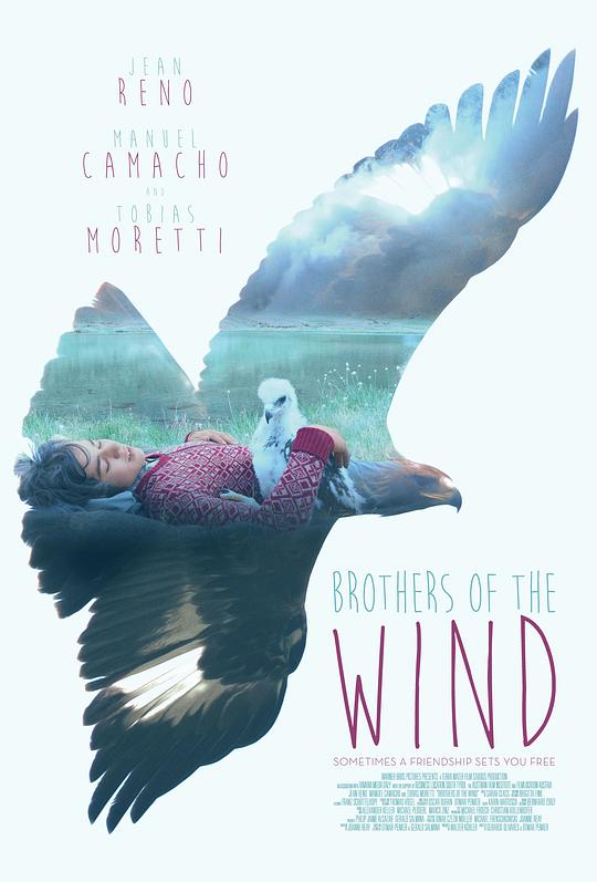 追鹰日记 Brothers of the Wind (2015)