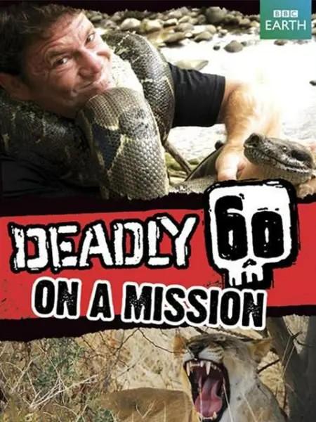 致命的60种生物 第二季 Deadly 60 Season 2 (2011)