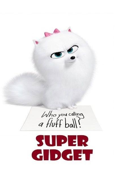 超级啾啾 Super Gidget (2019)