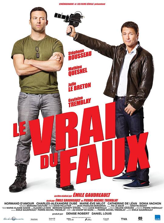 谎言的真相 Le vrai du faux (2014)