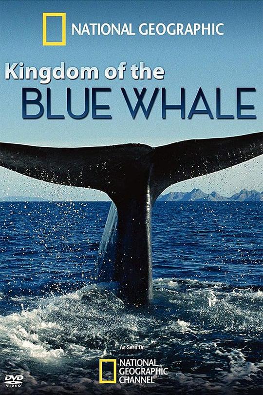 蓝鲸王国 Kingdom of the Blue Whale (2009)