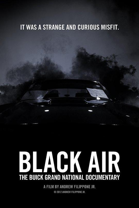 引擎黑烟：别克Grand National全记录 Black Air: The Buick Grand National Documentary (2012)