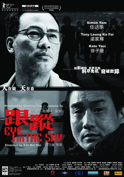 跟踪 跟蹤 (2007)