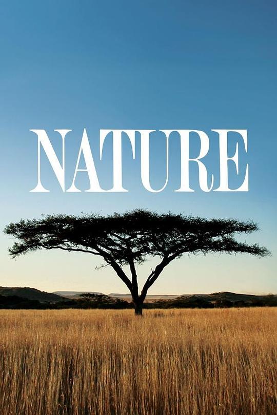 自然 Nature (1982)