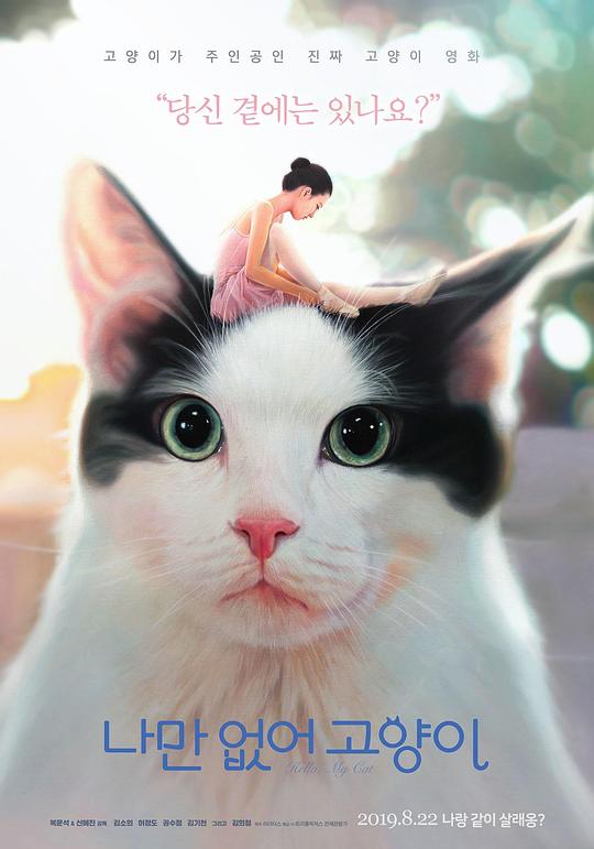 只有我没有猫 나만 없어 고양이 (2019)