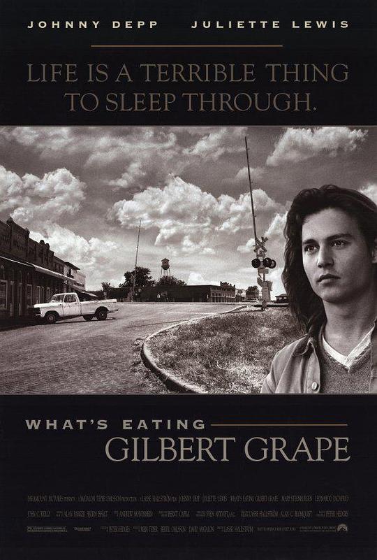 不一样的天空 What's Eating Gilbert Grape (1993)