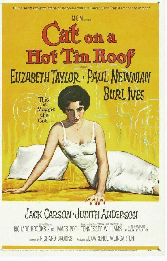 朱门巧妇 Cat on a Hot Tin Roof (1958)