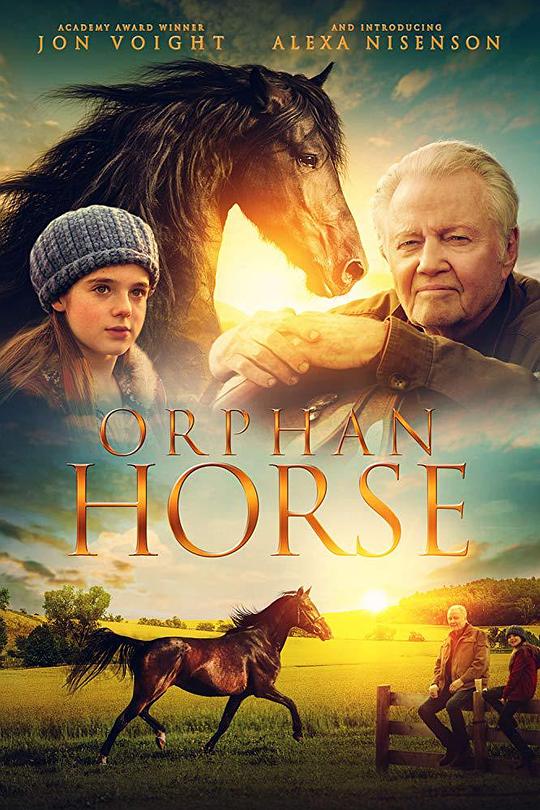 孤马 Orphan Horse (2018)