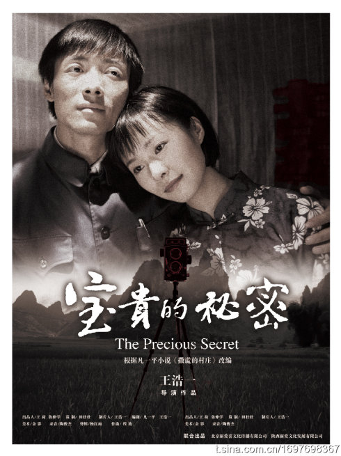 宝贵的秘密  (2009)