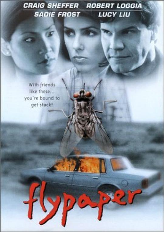 捕蝇 Flypaper (1999)