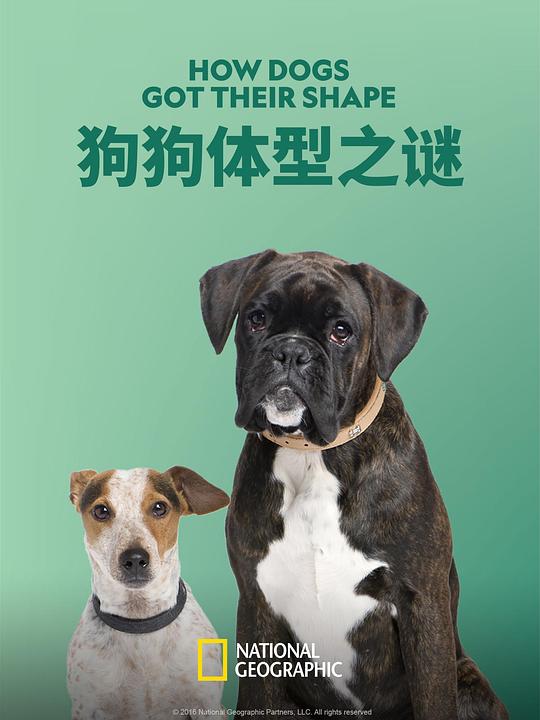 狗狗体型之谜 How Dogs Got Their Shapes (2016)