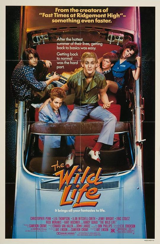 少年十五二十时 The Wild Life (1984)