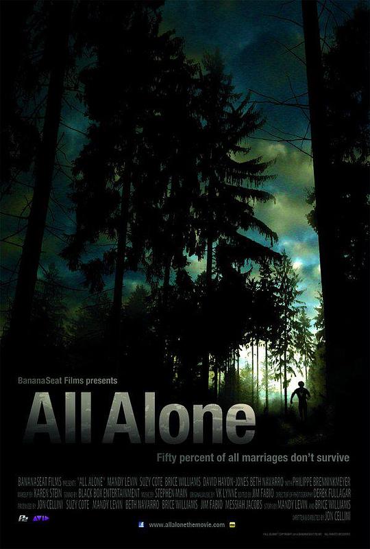 孤身一人 All Alone (2011)