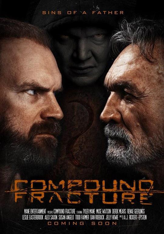 复合骨折 Compound Fracture (2013)