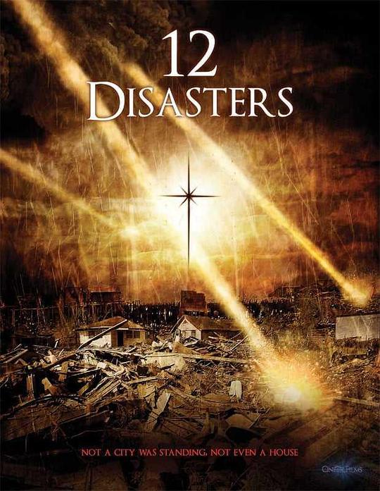 圣诞十二劫 12 Disasters of Christmas (2012)