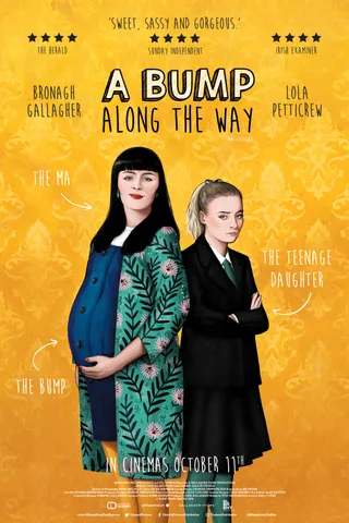 四十来孕 A Bump Along the Way (2019)