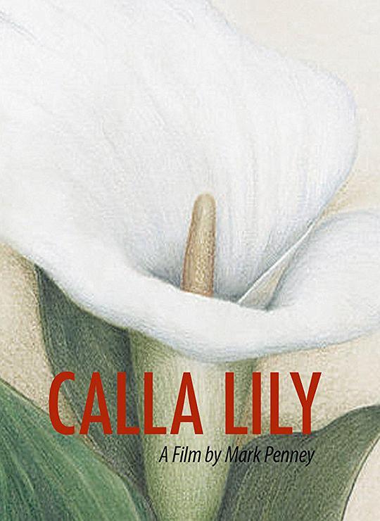 马蹄莲 Calla Lily (2015)