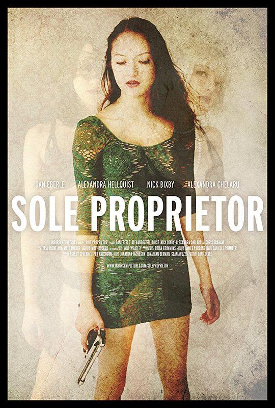 Sole Proprietor  (2016)