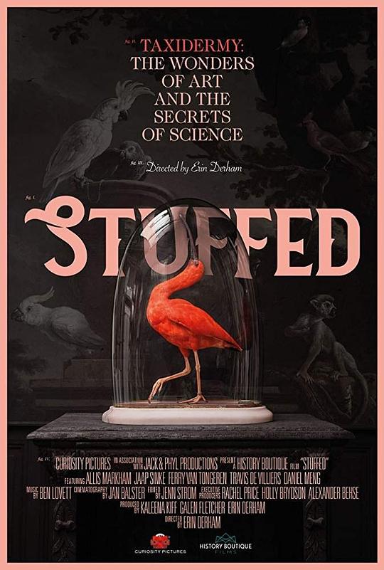 充满了 Stuffed (2019)