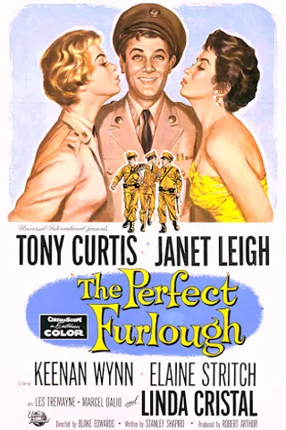 完美的假期 The Perfect Furlough (1958)