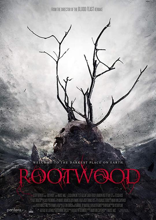 根茎 Rootwood (2018)